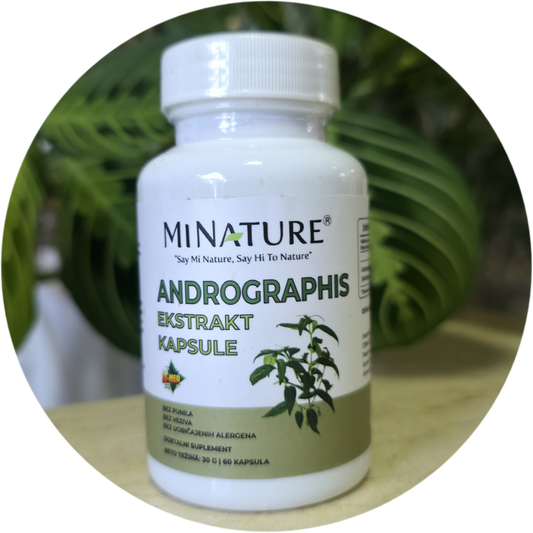 Andrographis(ANDROGRAFIS) 60 caps od po 500mg. Mi Nature Original;Za vaš imunitet,protiv gripa i virusa,u borbi sa kancerom detox jetre,jačanje zdravlja zglobova,,moguća primena i kod post- Hemoterapije....