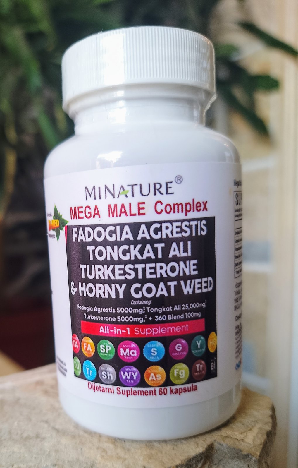 MEGA MALE- komplex 60 caps. sa Tongkat Ali,Fadogia,Turkesterone sa komplexom biljnih mocnih dodataka uljučujuću i čiveni Shilajit sa Blak Paperom za bolju apsorciju, Mi NATURE