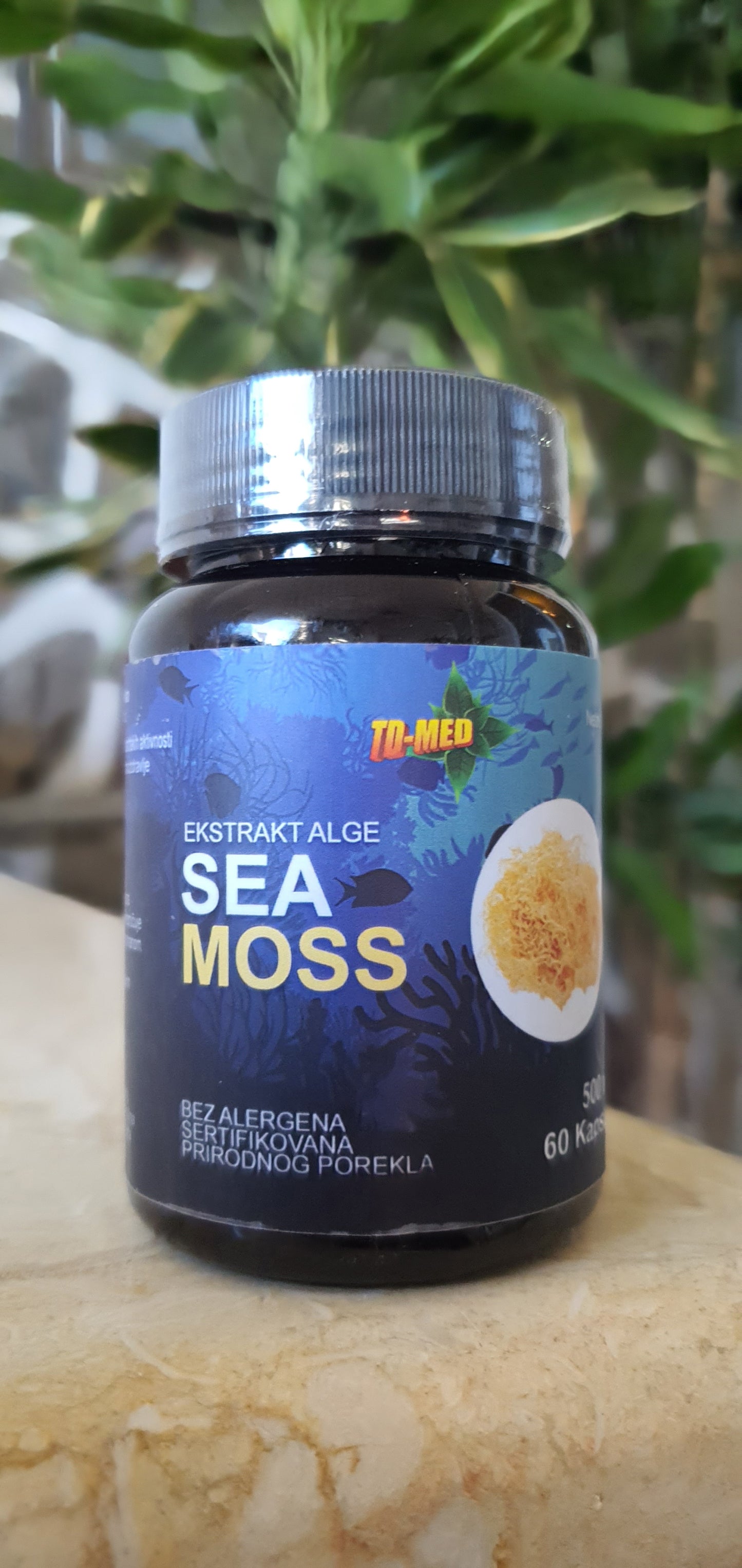 Sea Moss Extract -Morska mahovina 500mg/60 caps. Mi Nature