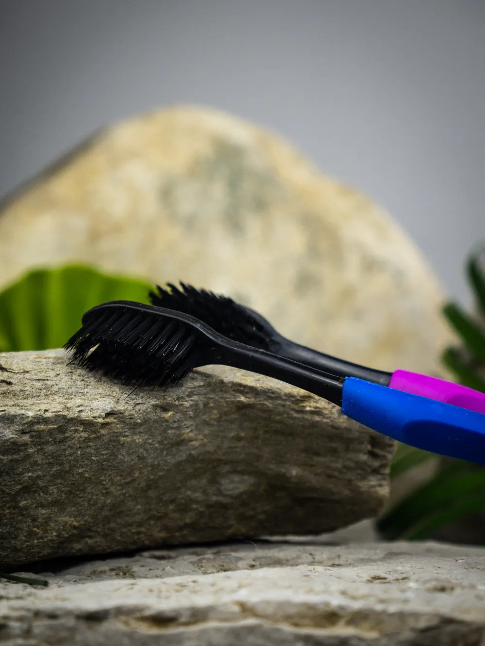 Bambus Set za Zube (2 Paste + Nano Četkice)