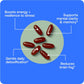 NOOTROPIC-BodyBio  PC fosfatidilholin + fosfolipidi - liposomski za visoku apsorpciju - optimalno zdravlje mozga i ćelija - poboljšava pamćenje, kognitivne sposobnosti, fokus i jasnoću - 100% bez GMO-a - 100 mekih kapsula; USA