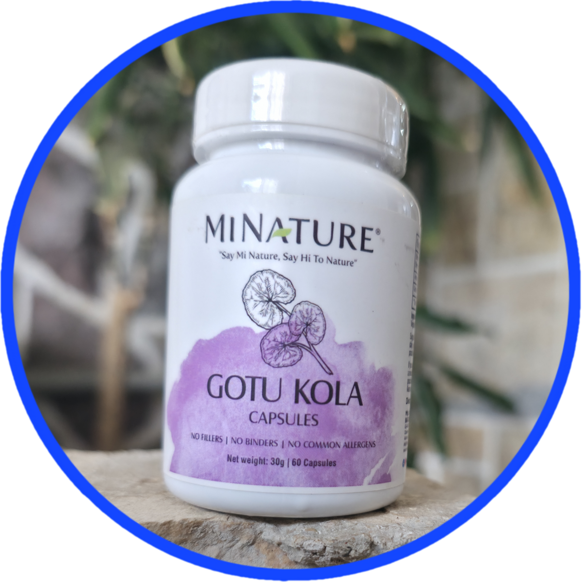 Gotu Kola 60 kaps.,doza u 2 kapsule je 1000mg;"Mi Nature"-Indija; Poznata u Ajurvedi kao biljka dugovječnosti ,za regenaraciju tkiva,moždano-konigitivna podrška