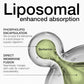Berberin LIPOSOMAL 1000mg/2 kapsule(500mg/ 60 kaps).Podrška metabolizmu, nivou šećera u krvi,insulinskoj rezistenciji,energiji, težini i kardiovaskularnom zdravlju Naš Brend & "Japan-Bingo Aladdin Bio-tech Co.Ltd" za USA/Eu Reklamna cena-ISKORISTE je !