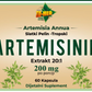 Artemisinin (Artemisia Anua)Slatki Pelin Extract 20:1,60 kaps.;Doza u 2 kaps. je 200mg Extrata,Wellbody za USA i za TD-MED; REKLAMNA CENA !!!