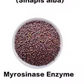 Liposomal Sulforafan+Glukofarin 60 kaps.u kombinaciji Brokoli+seme Gorušice(Mustard)-Velika bio-raspoloživost i efikasnost Sulforaphana;AIRBOT-Engleska;Podrška detoxifikaciji jetre,regeneraciji ćelija i zaštiti DNK,imunitetu...,Reklamna Akciska cijena..