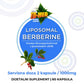 Berberin LIPOSOMAL 1000mg/2 kapsule(500mg/ 60 kaps).Podrška metabolizmu, nivou šećera u krvi,insulinskoj rezistenciji,energiji, težini i kardiovaskularnom zdravlju Naš Brend & "Japan-Bingo Aladdin Bio-tech Co.Ltd" za USA/Eu Reklamna cena-ISKORISTE je !