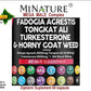 MEGA MALE- komplex 60 caps. sa Tongkat Ali,Fadogia,Turkesterone sa komplexom biljnih mocnih dodataka uljučujuću i čiveni Shilajit sa Blak Paperom za bolju apsorciju, Mi NATURE
