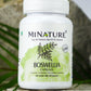Boswellia (Indiski Tamjan)- 450mg 60 kaps.-Mi Nature