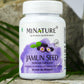 Jamun Seed 450mg 60 kapsula